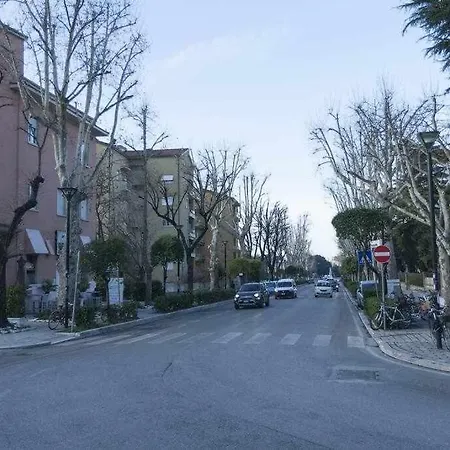 Ospitaci Viale Mezzetti *
